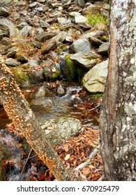 Sunday River Area Maine Woods,creek