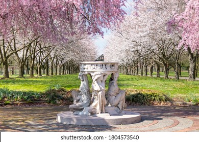 Sundial And Beautiful Pink Cherry Blossoms With Trees In Full Bloom And No People In Fairmount Park, Philadelphia, Pennsylvania, USA