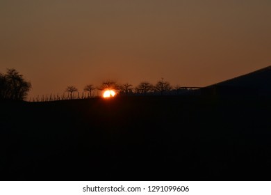 sundown behind trees