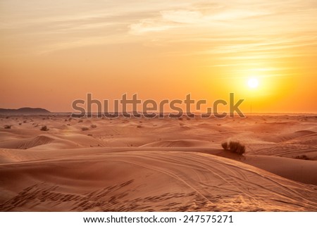 Sundown in desert. Desert background.