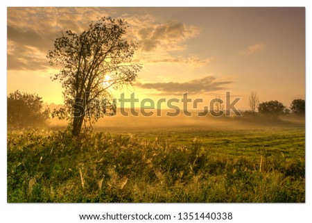 Similar – Morgens nebliger Fluss. Sommer nebliger Sonnenaufgang