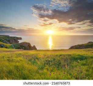 Sundown on the beach. Seascape nature composition. Sky, sea, and green grass. - Shutterstock ID 2160765873