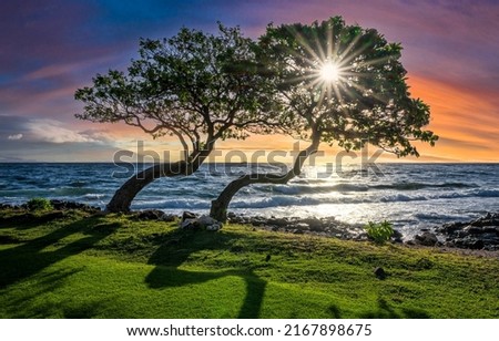 Sundown on the island of Maui. Maui sunrise waves