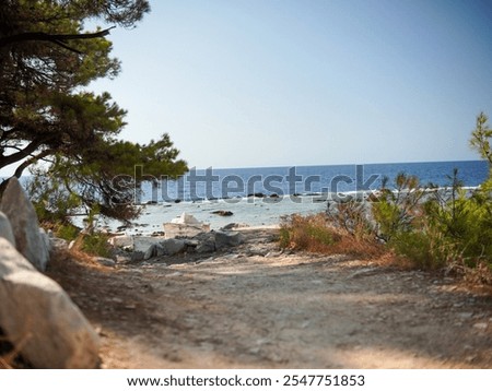 A sun-drenched dirt path winds through low-lying vegetation towards a calm, blue sea. Rocks line the shallow shoreline. Pine trees frame the scene. The image suggests a peaceful, secluded beach area.