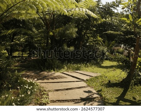 A sun-drenched garden path, composed of light brown stone slabs, winds through a dense tropical foliage. The path's design features a unique pattern of interlocking stones, casting interesting shadows