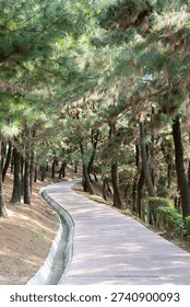 a sun-drenched, winding paved path through a dense forest of pine trees at Taman Saujana Hijau in Putrajaya, Malaysia