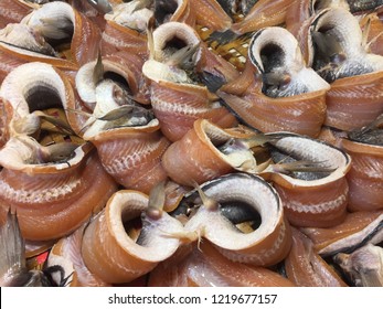 siput laut sabah