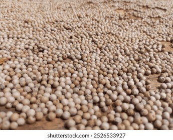 Sun-dried white peppercorns arranged on a wooden surface. The close-up shot captures the intricate details of these aromatic spices. - Powered by Shutterstock