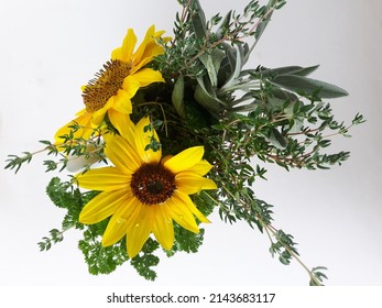 Sunflower, sunflower, brighten up my day with your punch of yellow. Sage, parsley and rosemary spice up my day with your delicious flavours.