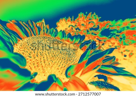 Sunflower Close Up with Infrared Gradient Map and Vivid Sunburst Colors