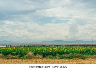 9 151 356件の 野原 の画像 写真素材 ベクター画像 Shutterstock