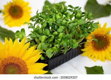 Sunflower flowers with micro-seedlings. Microgreen