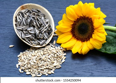 182,471 Sun flower seeds Images, Stock Photos & Vectors | Shutterstock