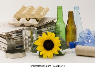 Sunflower Growing Among Household Recycling Items. White Background.