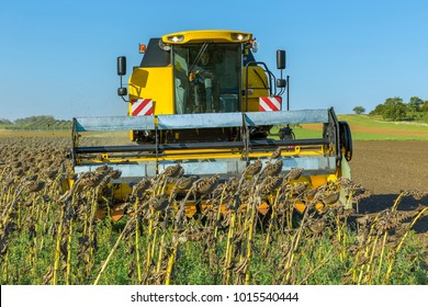 Sunflower harvesting in Lower Austria - Shutterstock ID 1015540444