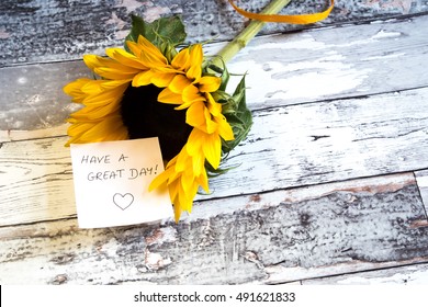 Sunflower With Have A Great Day Card