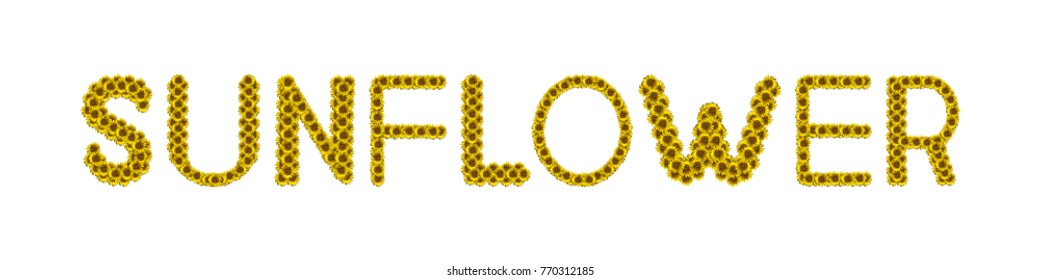 Sunflower Letter Arrange Words Sunflower Clipping Stock Photo 770312185 ...