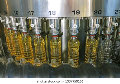 Sunflower oil in the bottle moving on production line in a factory. Filling machine