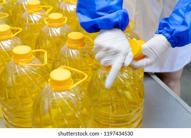 Sunflower oil factory. Factory line of production and filling of refined oil from sunflower seeds. 