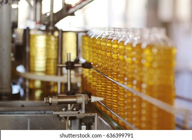 Sunflower Oil. Line For The Production And Bottling Of Refined Oil From Sunflower Seeds. Conveyor Of Food Industry