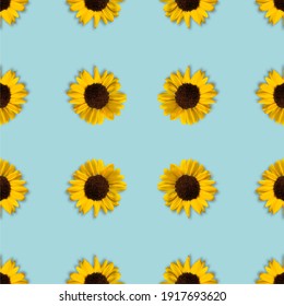 Sunflower On Blue Background. Beautiful Flower Seamless Wallpaper Patterm.