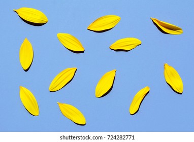 Sunflower Petals On Lilac Background. Pattern. Flat Lay Style.