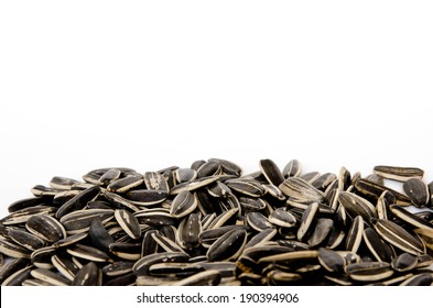 Sunflower Seed Isolated On White Background