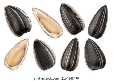 sunflower seed, isolated on white background, clipping path, full depth of field