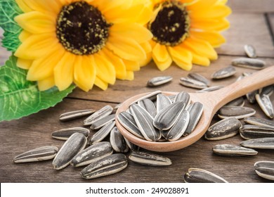 Sunflower Seed On Wooden Spoon 