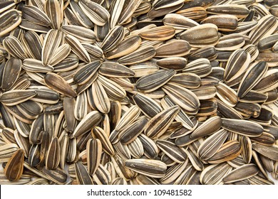 Sunflower Seeds