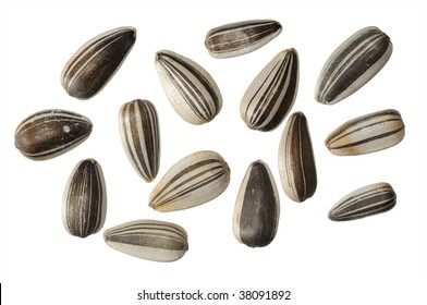 Sunflower Seeds