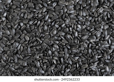 Sunflower seeds background, closeup of roasted seeds. Close up of sunflower seeds as background, top view