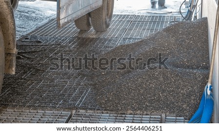 Sunflower seeds going down through the grid to elevator timelapse. Electrical mill machinery and elevator for the production of seeds. Grain equipment.