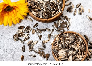 Семена подсолнечника Helianthus Annuus, 
закуска из сушеных и соленых семян подсолнечника в деревянной миске, чаша семян подсолнечника, изолированная на бетонном фоне