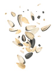 Sunflower Seeds With Hull Flying On White Background 