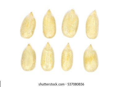 sunflower seeds isolated on white - Shutterstock ID 537080836