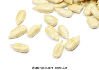 Sunflower Seeds Isolated On White