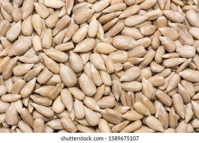 Sunflower Seeds Overhead Closeup View