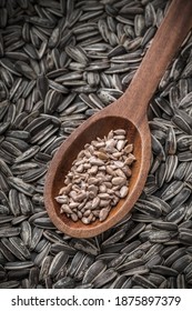 Sunflower Seeds Overhead Large Organic Roasted And Salted Close-up Arrangement In Old Brown Wooden Spoon On Black Background Studio Shot