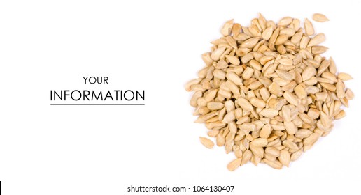 Sunflower seeds pattern on white background, top view