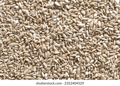 Sunflower Seeds texture, close-up. high resolution Use it in backgrounds, 3D renderings, etc.. - Shutterstock ID 2352404529