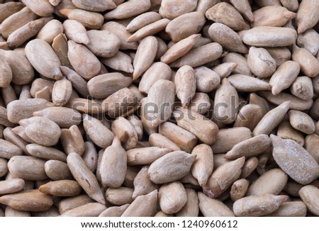 sunflower seeds.Sharp image