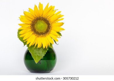 390 Small Vase With Sunflowers Images, Stock Photos & Vectors ...