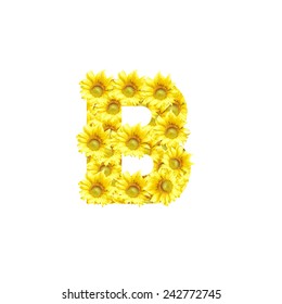 Sunflowers Alphabet Letter B Stock Photo 242772745 | Shutterstock