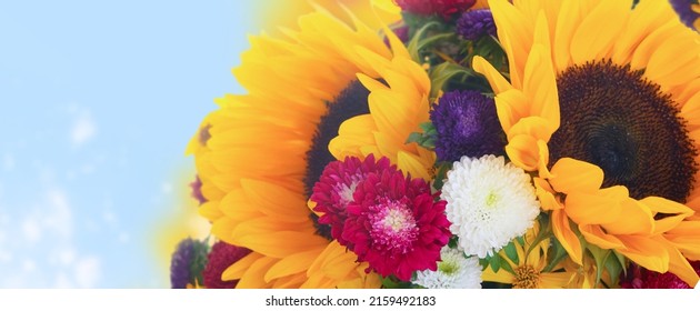 Sunflowers And Aster Fresh Flowers Border On Defocused Blue Fall Sky Background