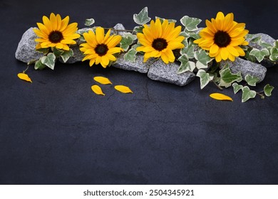 Girasoles y hiedra sobre