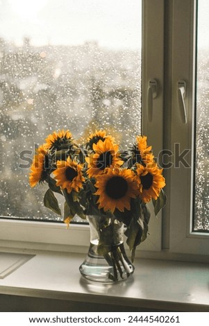 Sunflowers are usually tall annual or perennial plants that in some species can grow to a height of 300 centimetres 120 inches or more. Each flower is actually a disc made up of tiny flowers