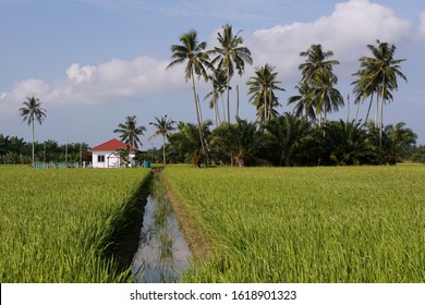 34 Sungai Muar Images, Stock Photos & Vectors 