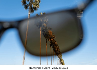 Sunglass Filtered Palm Skyline - Landscape - Powered by Shutterstock