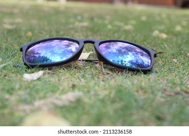 Sunglass on the lawn - Chile